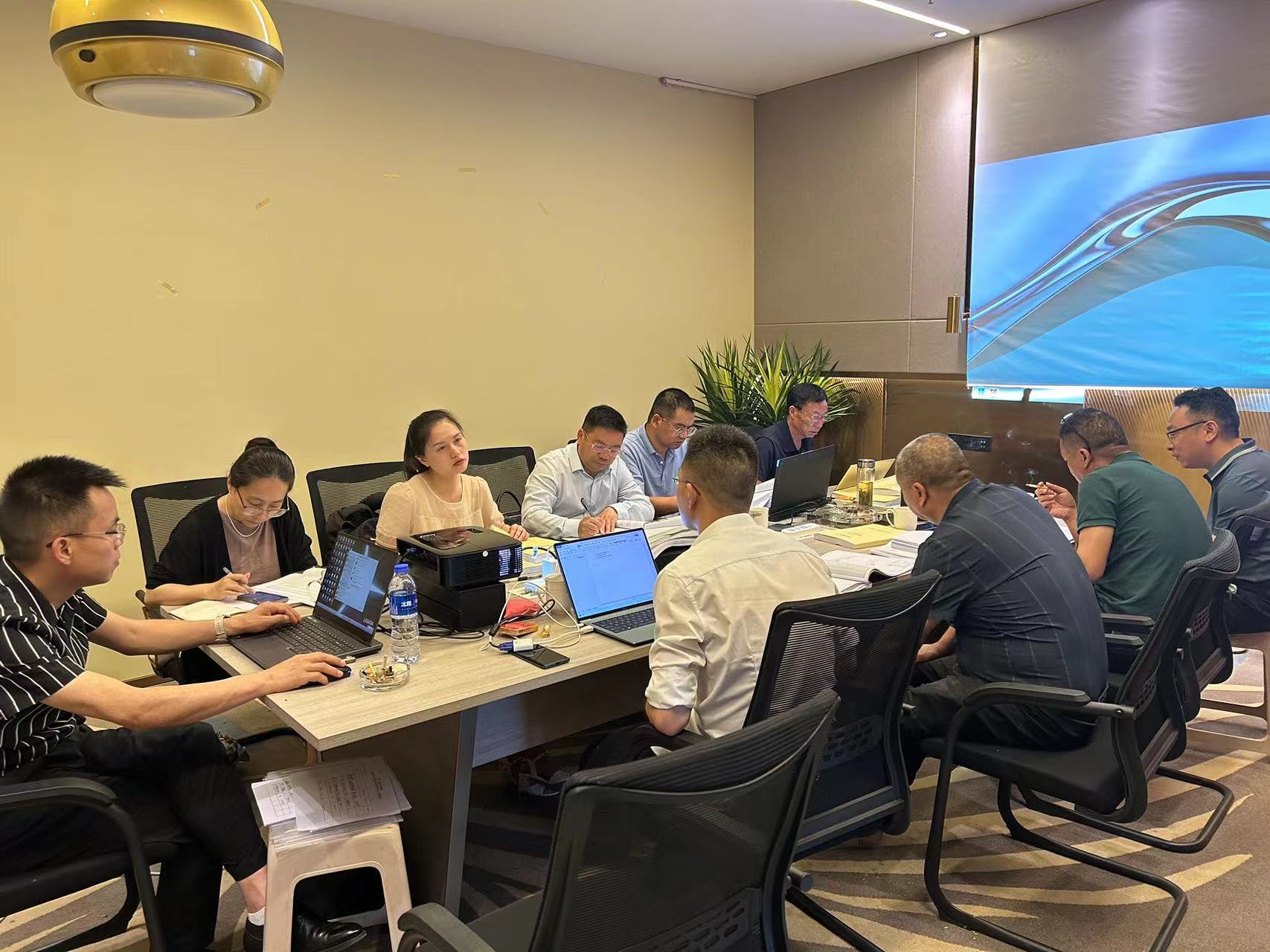 武引二期鹽亭7條斗渠初步設計審查會