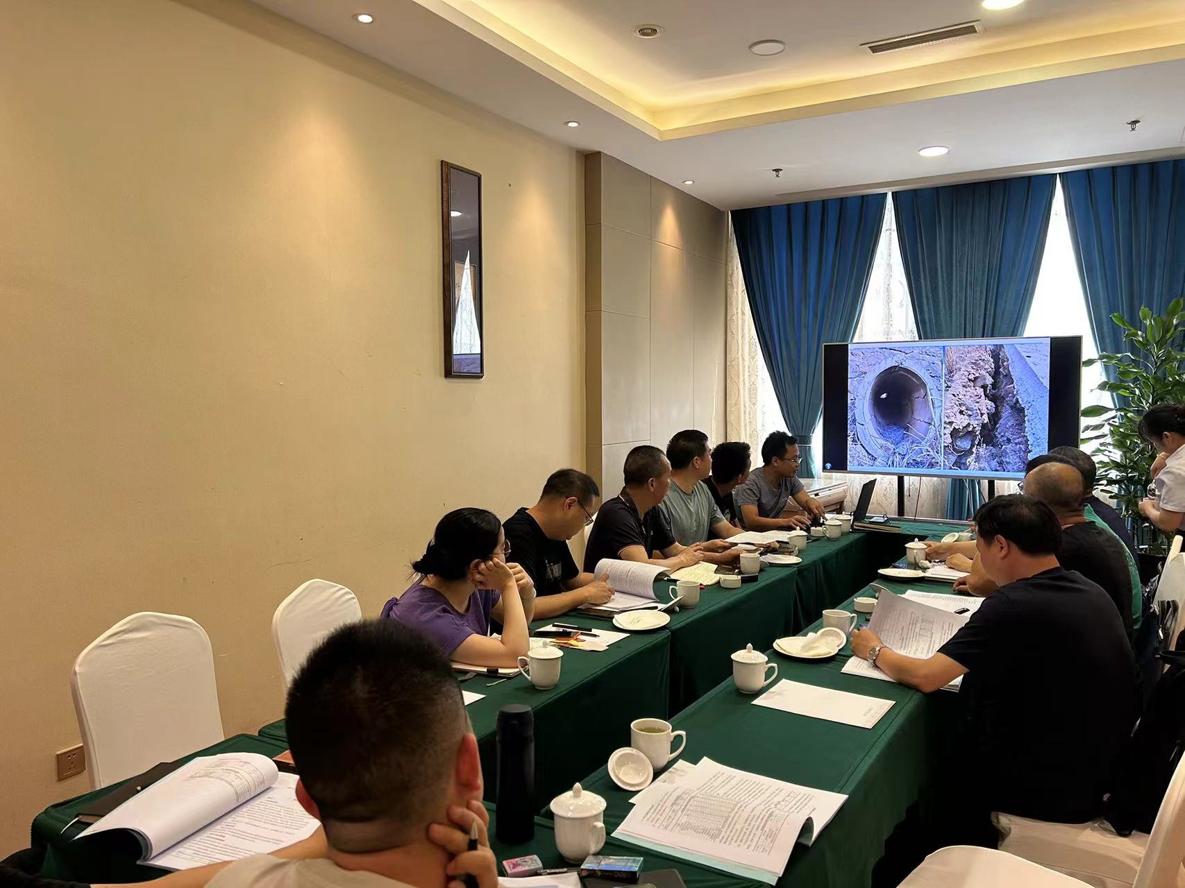 游仙區(qū)新橋勝利村堤防安全評(píng)價(jià)審查會(huì)